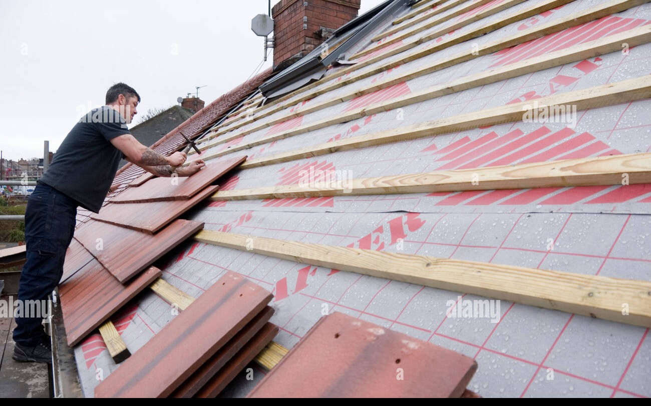 New Roof Installation - Image 2